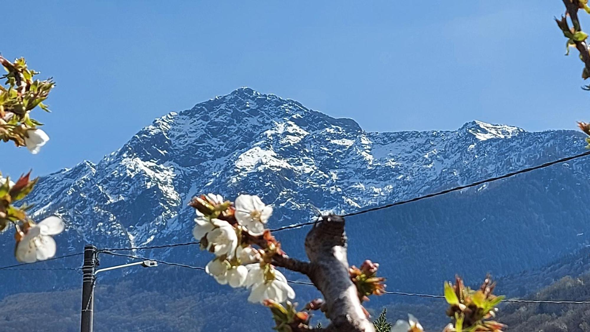 Villa Sole Colico Dış mekan fotoğraf